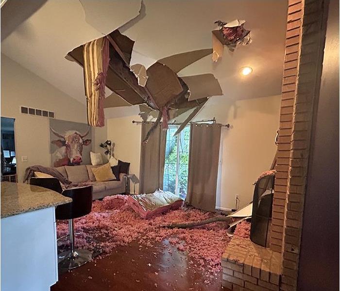 Tree branch fell through roof into kitchen