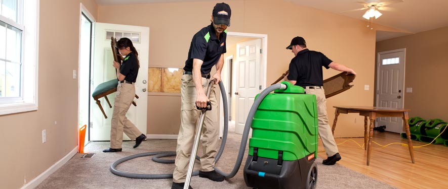 Dearborn, MI cleaning services